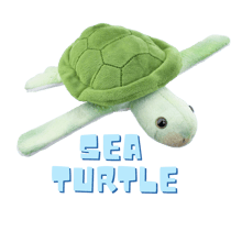 Sea Turtle