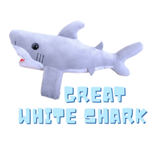 Great White Shark